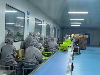 助力“小紫菜”走向“大市場”——“江蘇省內外貿認證一體化進園區(qū)”首場活動走進贛榆